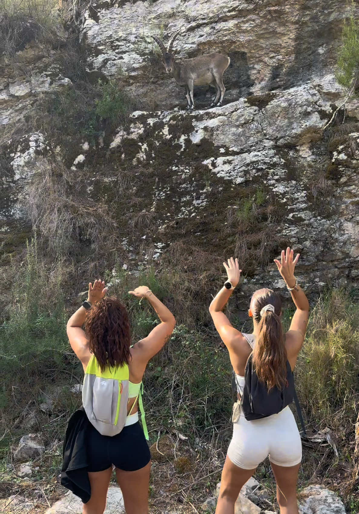 @Cristina Picazo