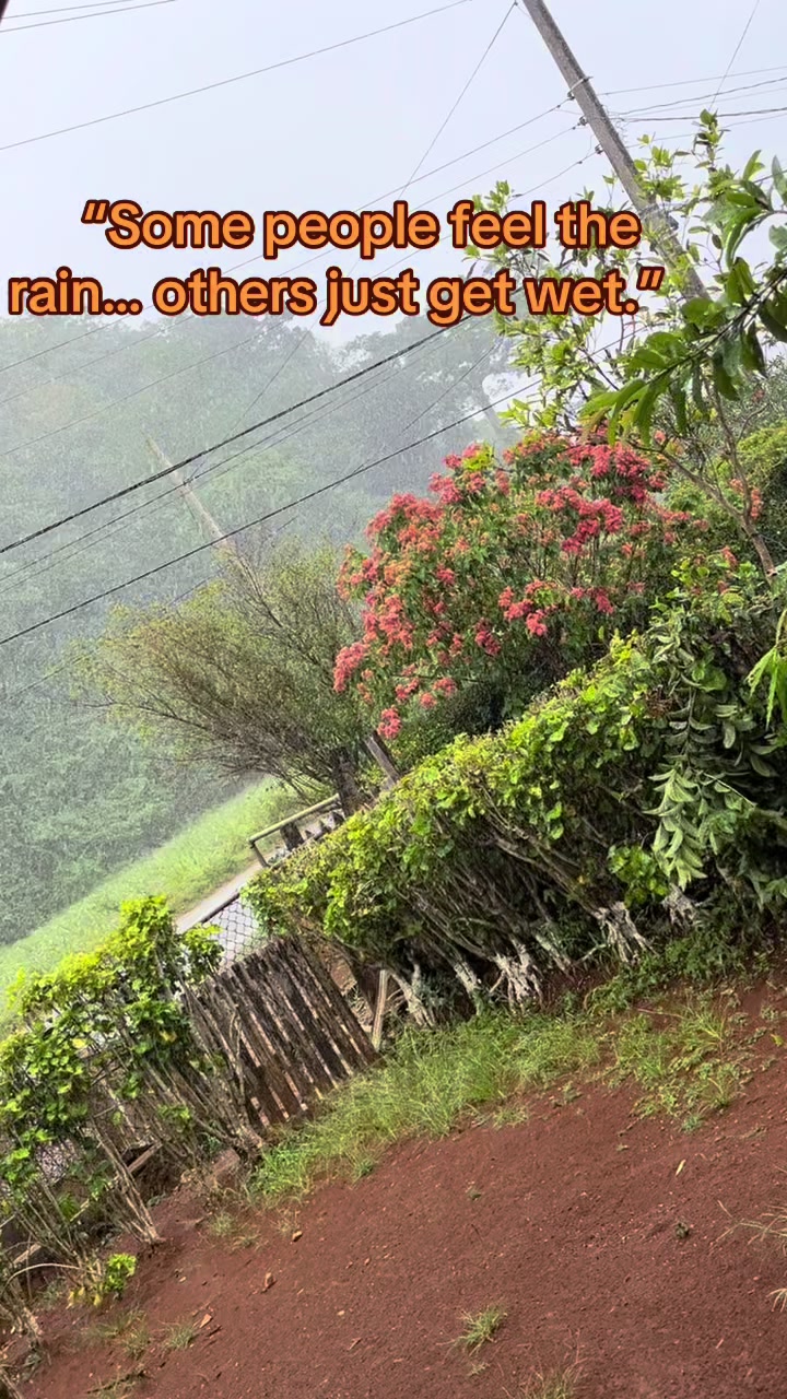 @CALI❤️🇯🇲