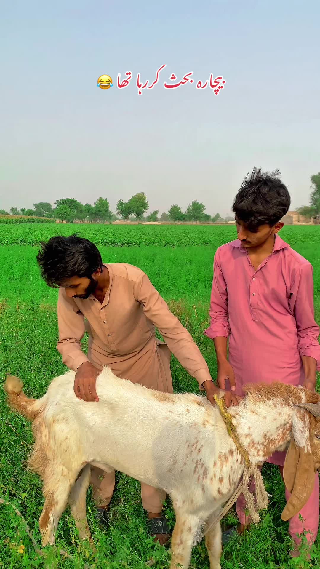 @Team.Aftab.81