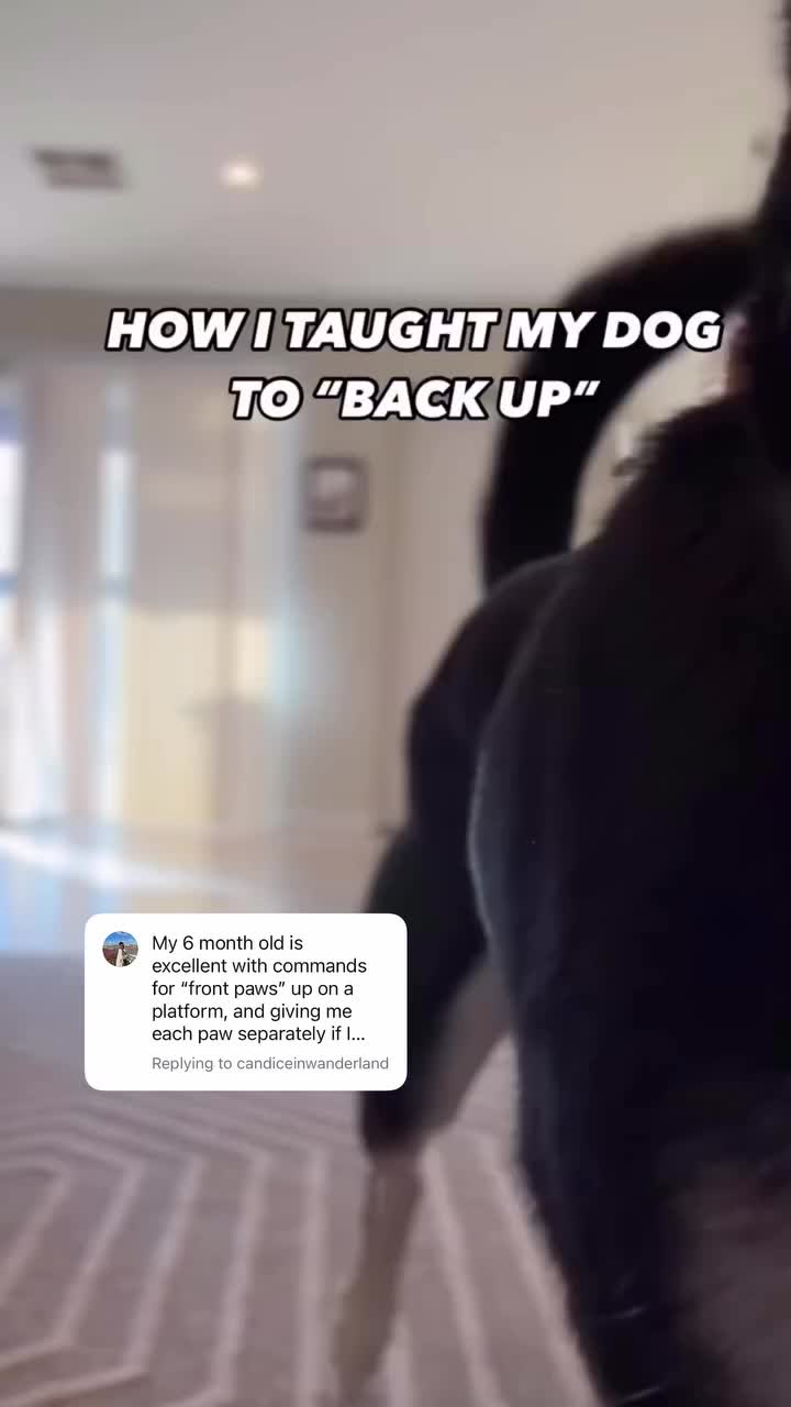 @Marissa | Kota & Aspen