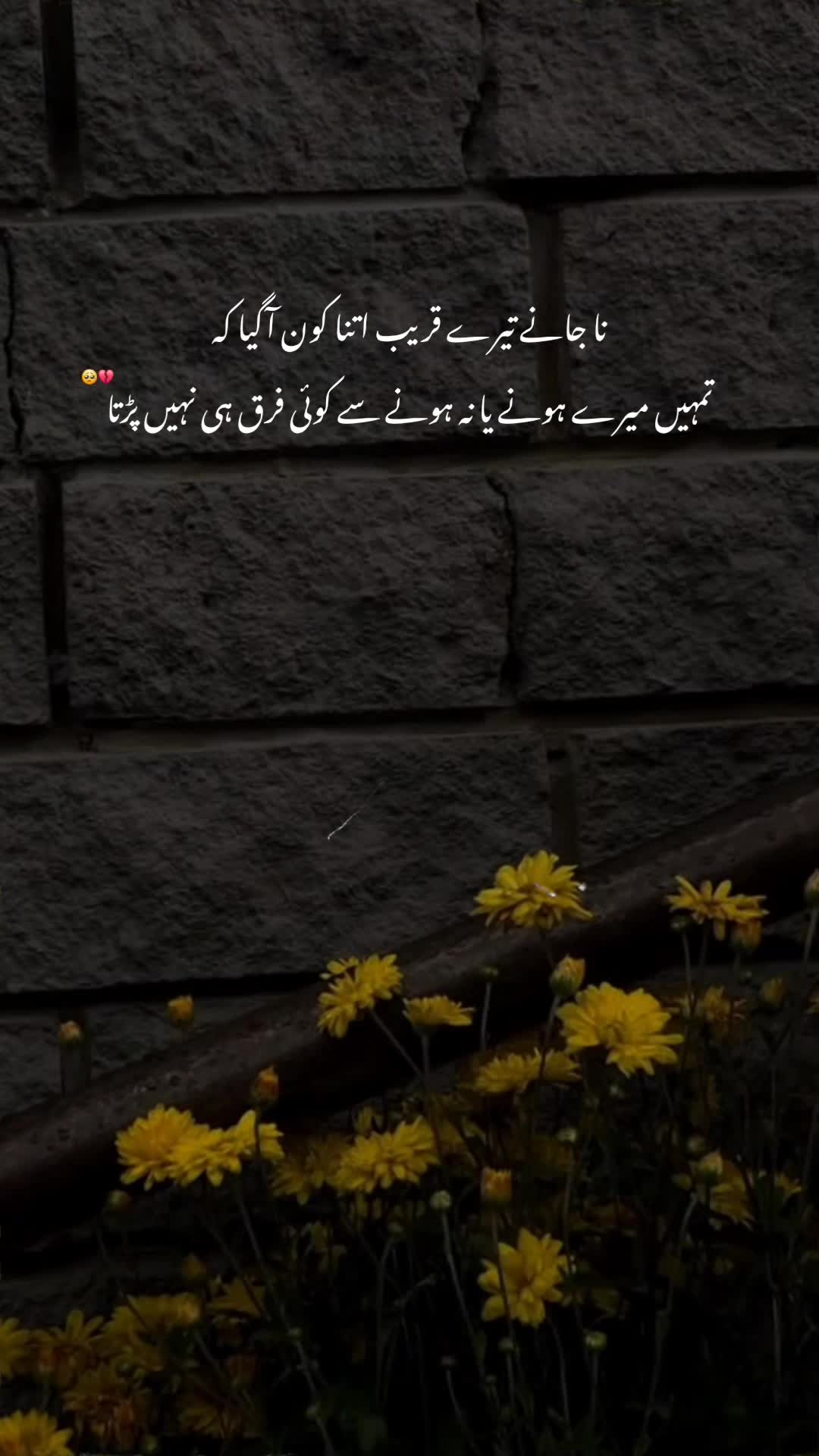 @𝘼𝙮𝙖𝙣♠