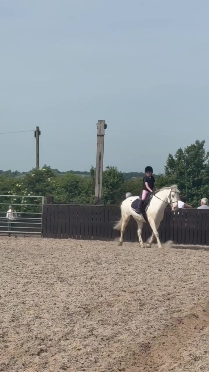 @LottiesHorseAdventures🦄🐴