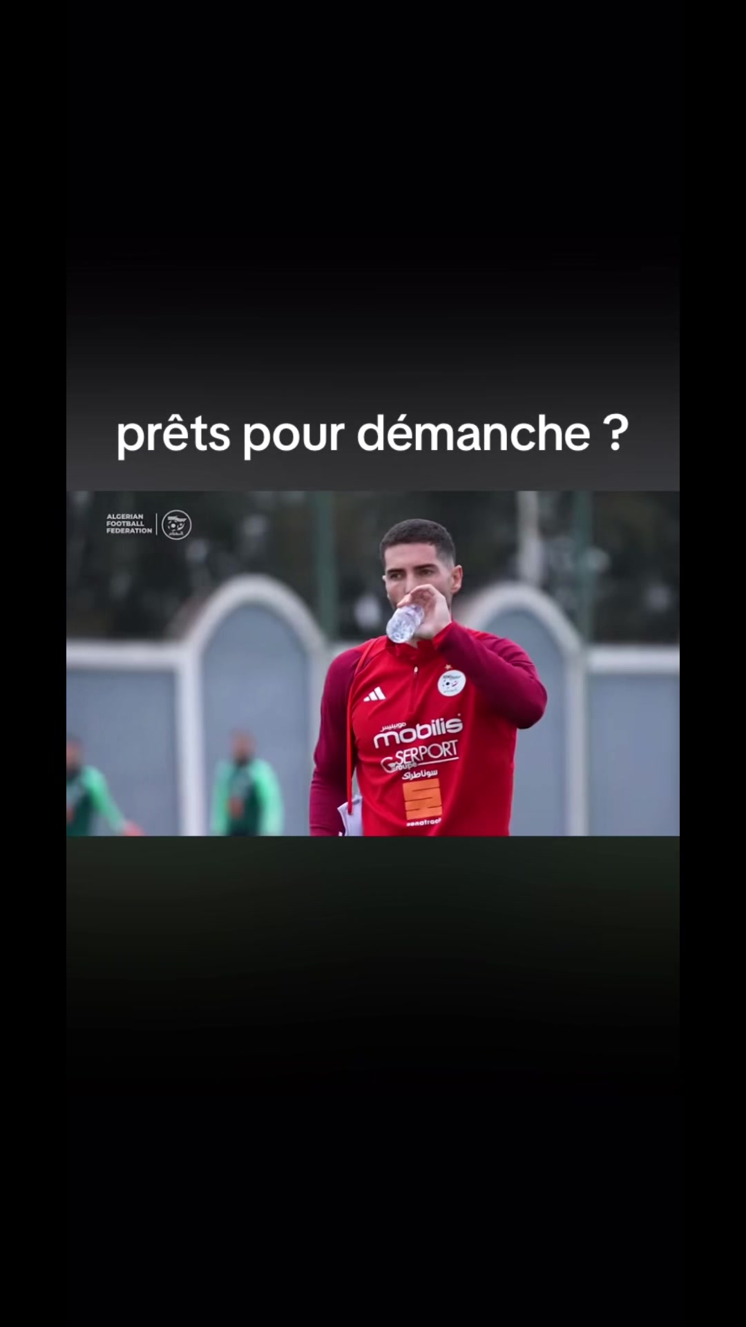 @Dz 🇩🇿