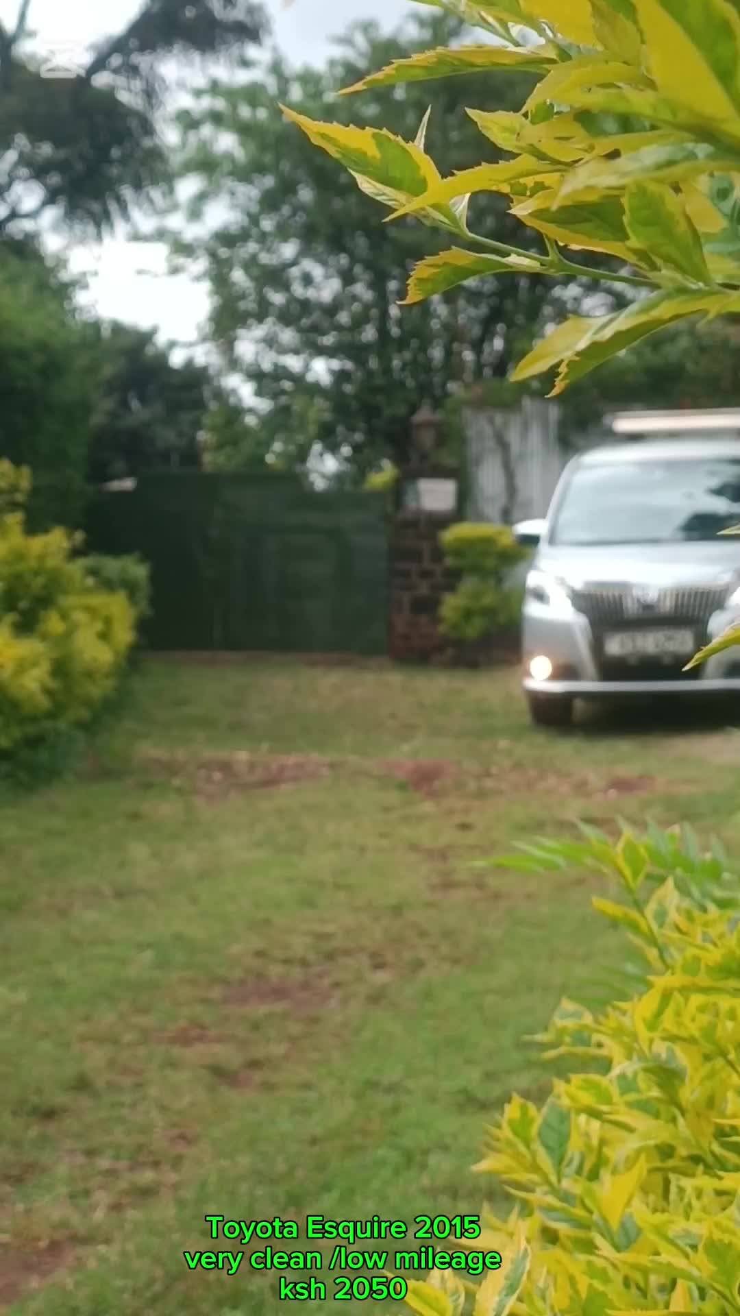 @JOLYD motors