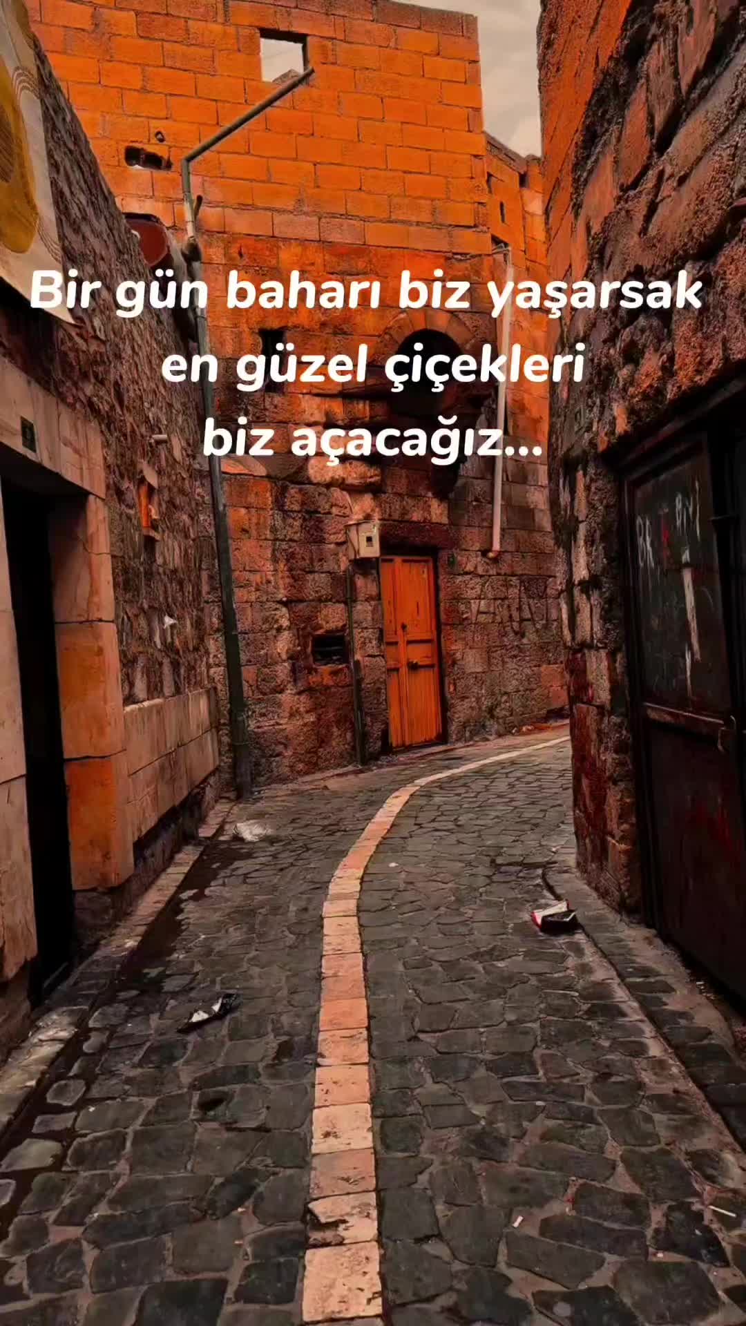 @m.aktas211