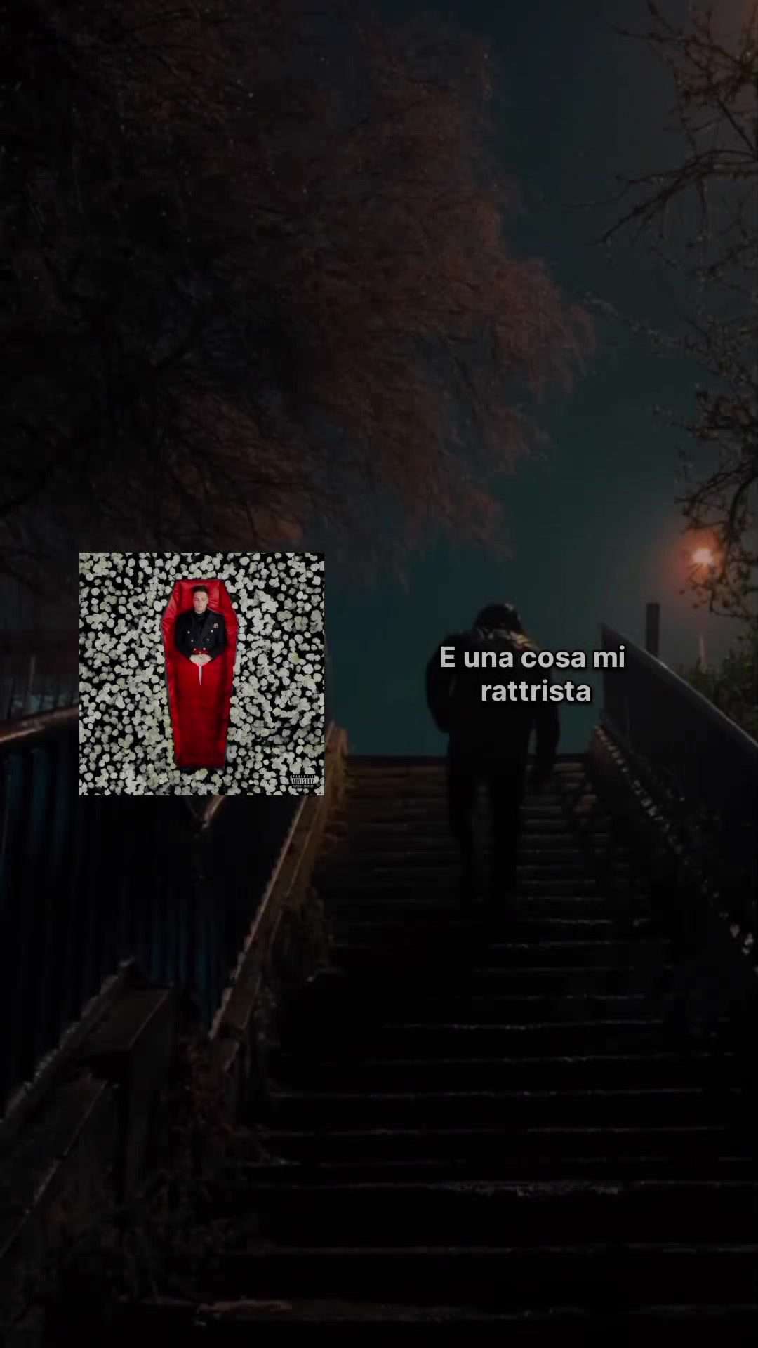@Sara🌹