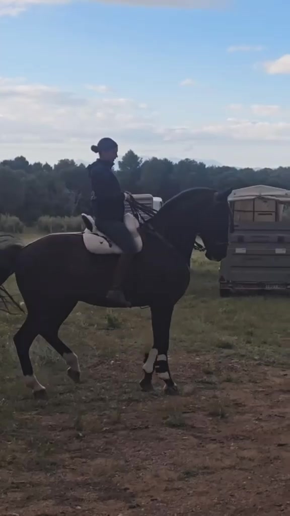 @Sandra Molina🐎🇪🇸