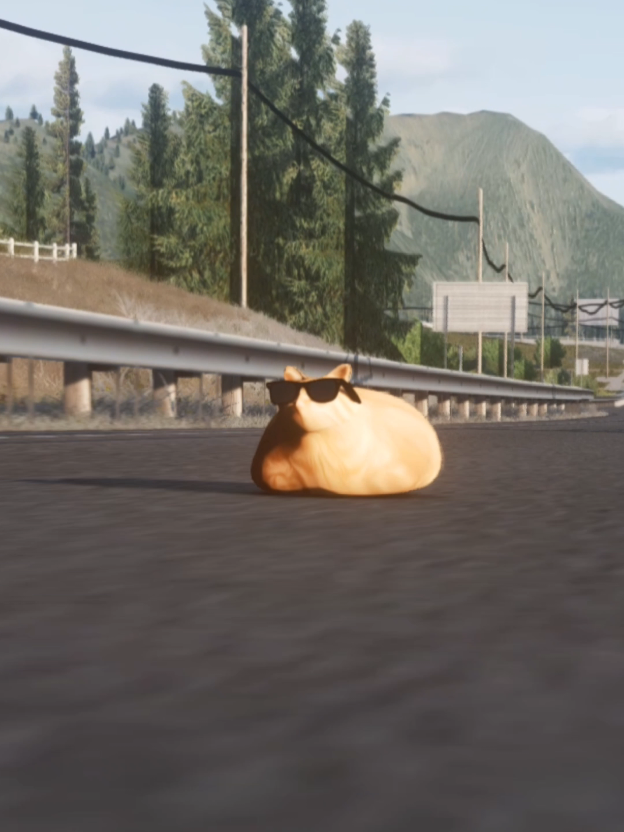 @Pablo the Race Cat
