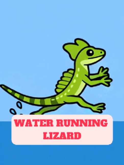@WildlifeWonderTV Animal Facts