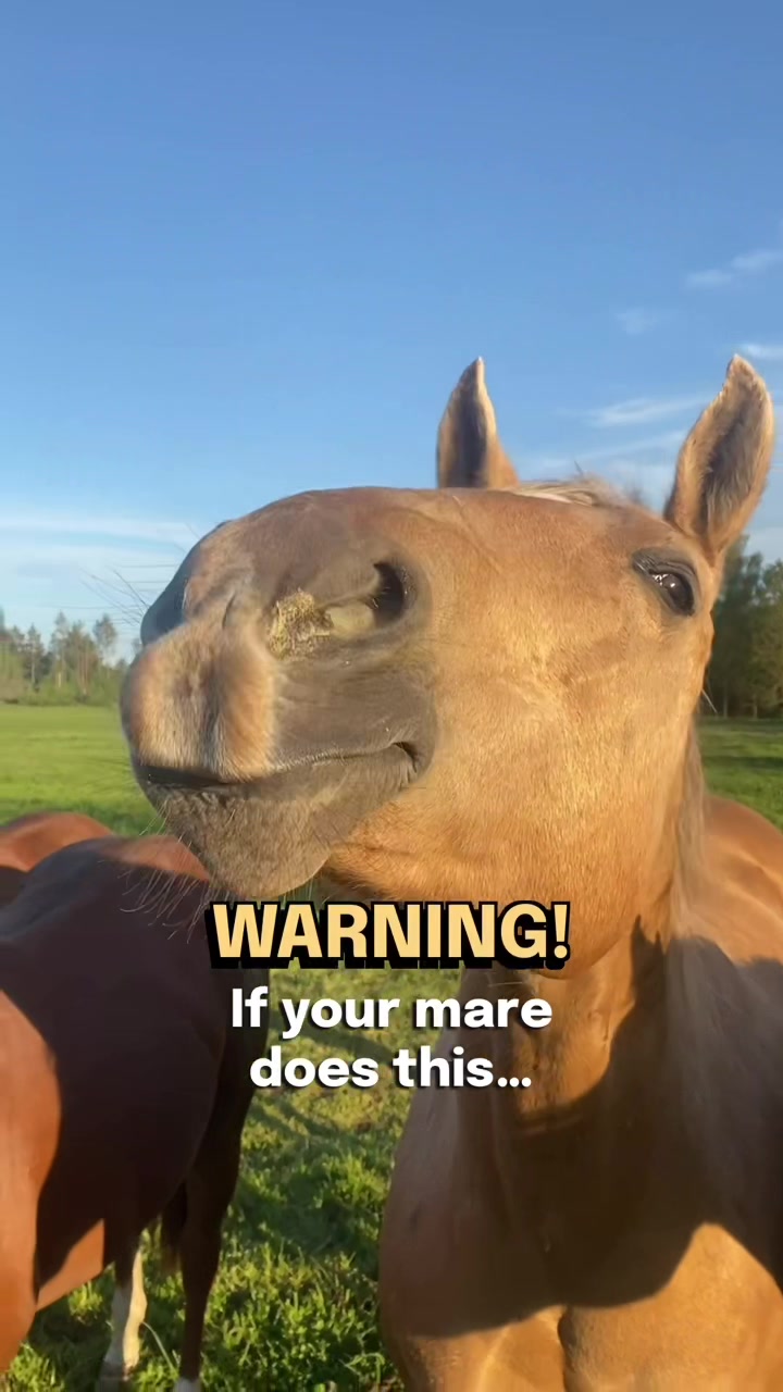 @Lady Malin