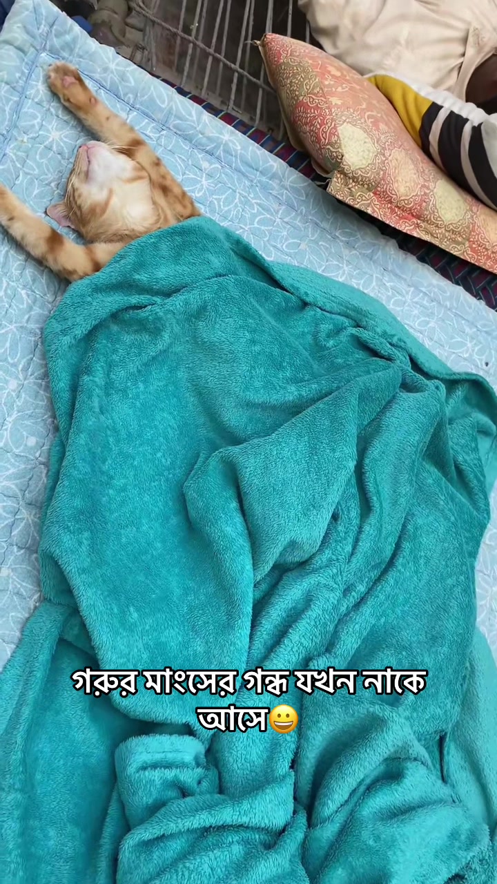 @Riya