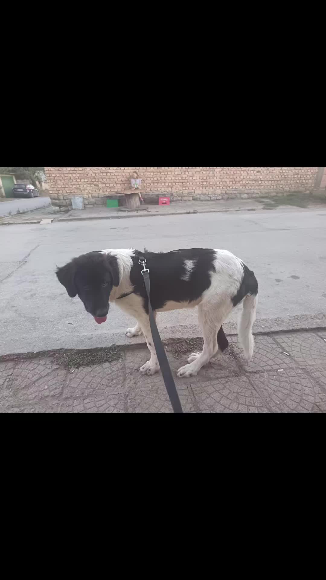@ЖЕНАТА НА МИЛОТО 😈