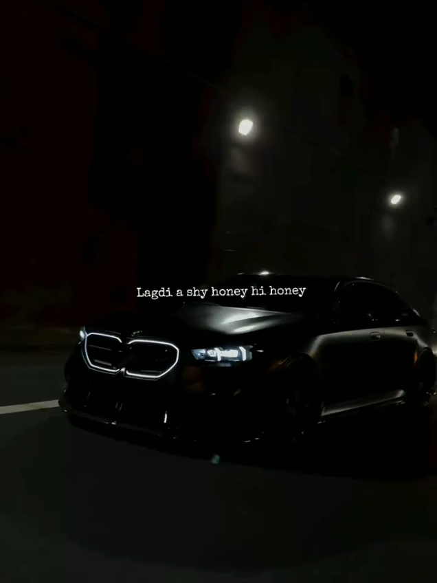 @。⋆༶⋆˙𝖁𝖎𝖇𝖊 𝖙𝖆𝖗𝖆❀.⋆。⋆༶⋆˙