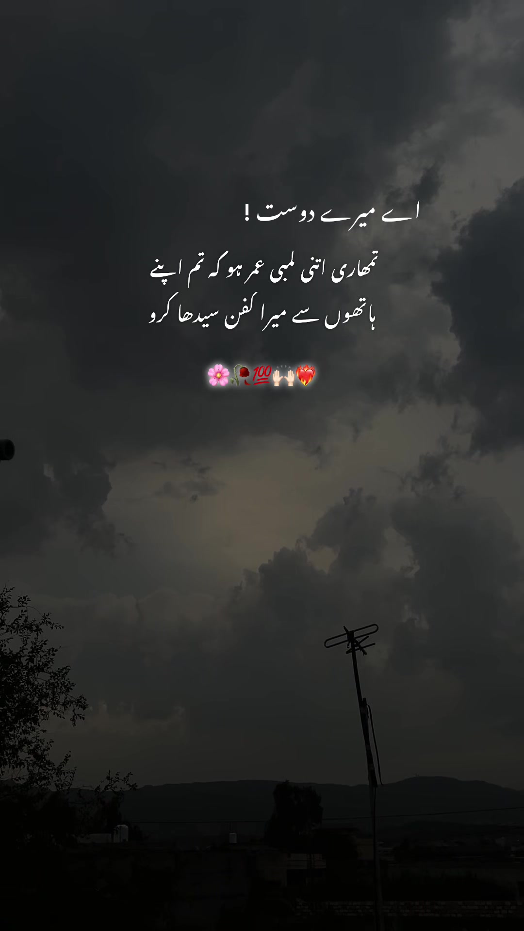 @بکھرے خواب🍂