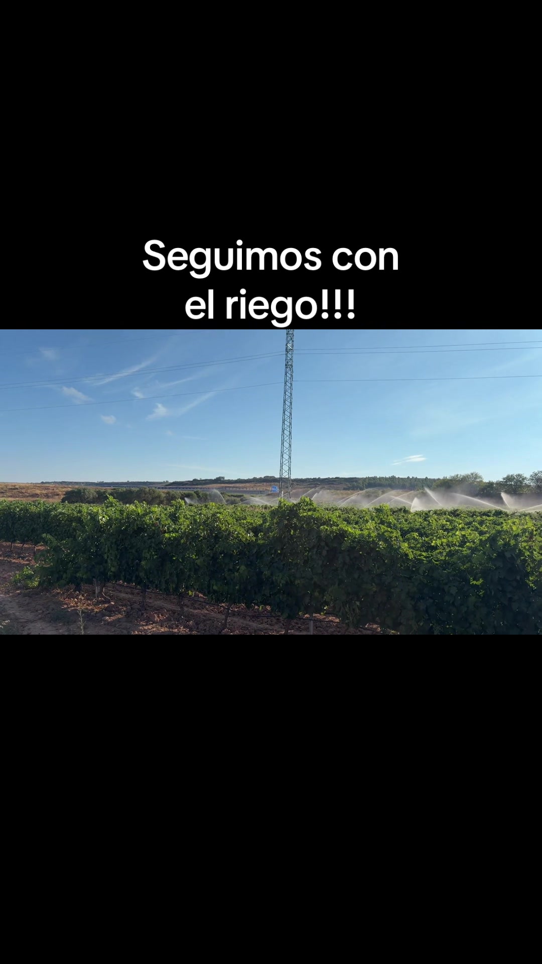 @Javier Valiente