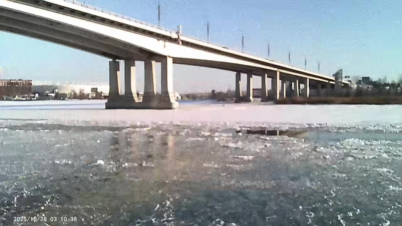 @сэр Котюха