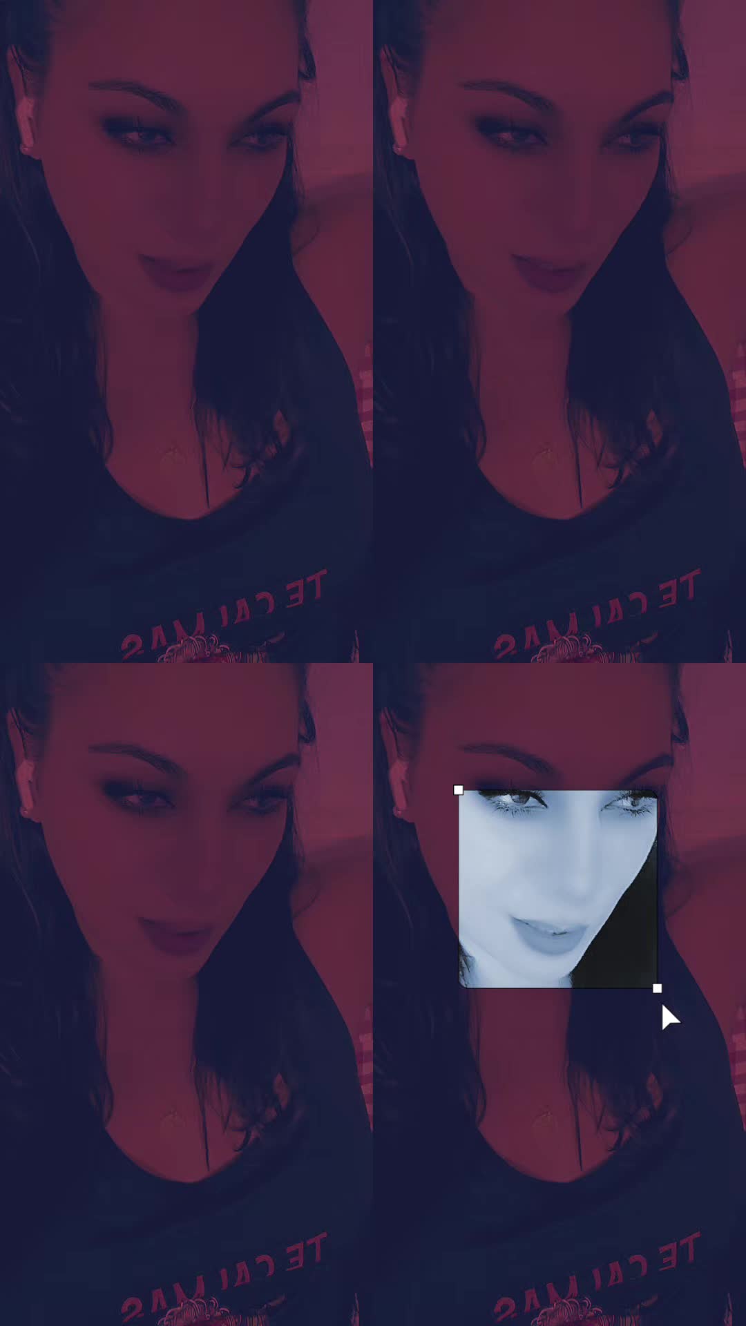 @🌶 Яσѕα ᥫ᭡ Լєσηєѕѕα 🌶