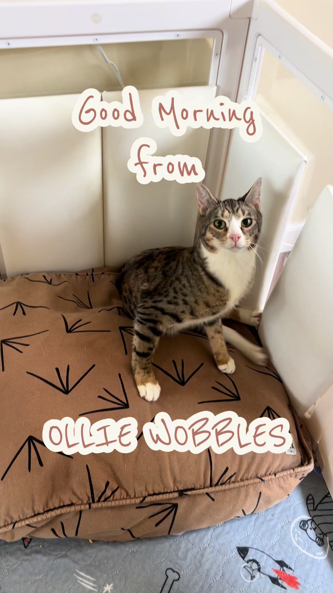 @Ollie Wobbles