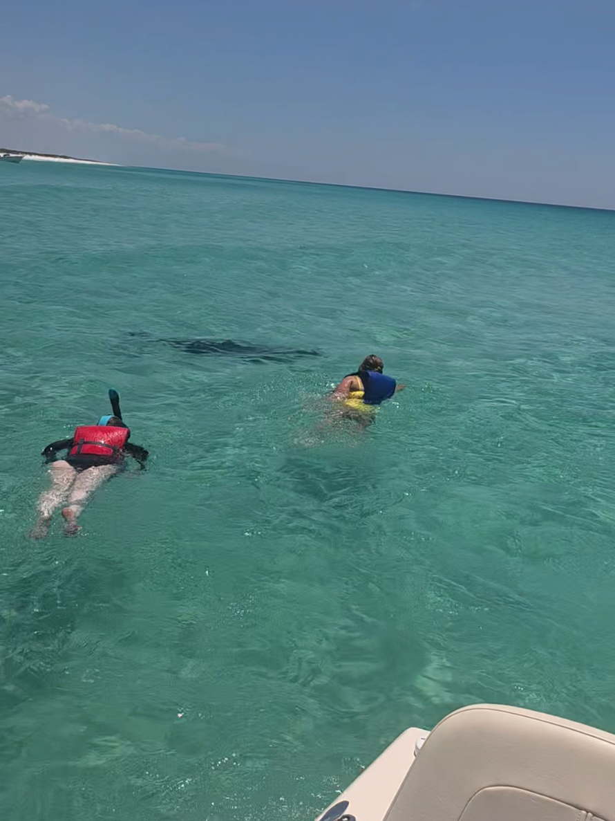 @Shell Island Dolphin Tours 🐬