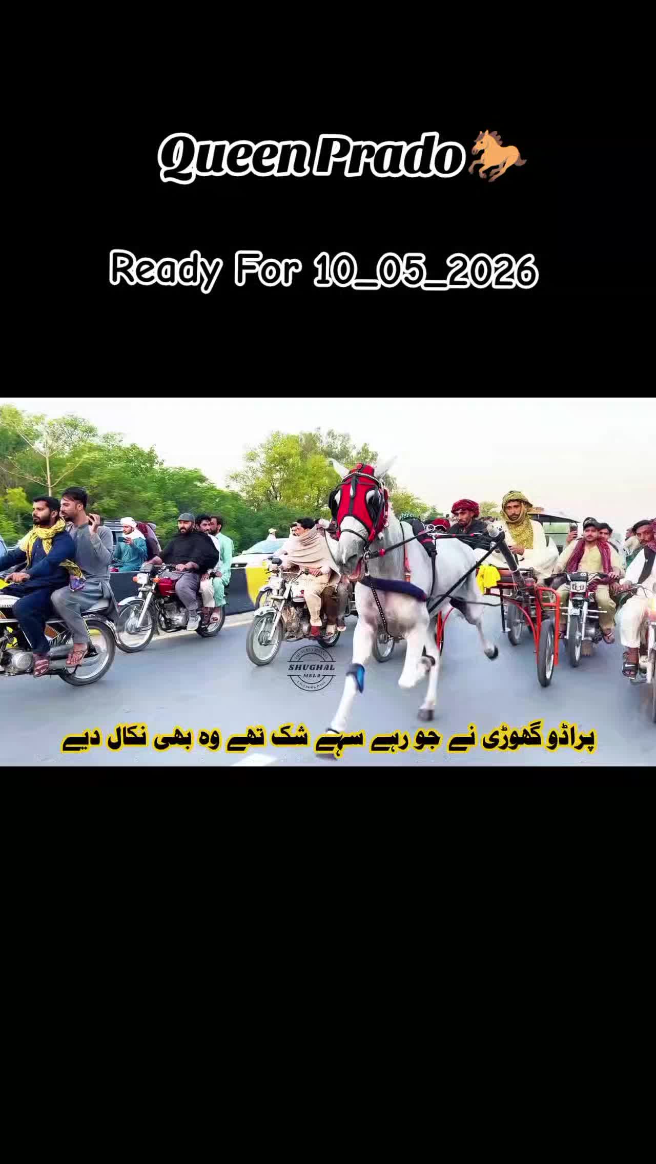 @Chach tanga racer007🐎