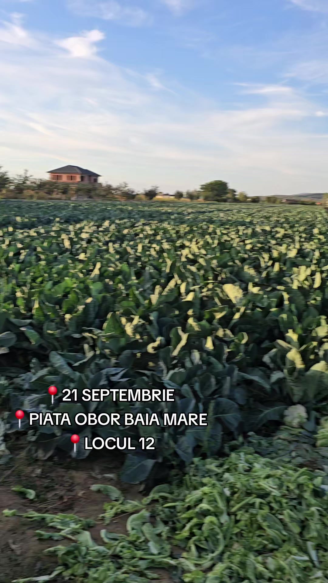 @Faze Farm