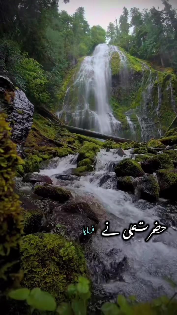 @Syeda-G 007