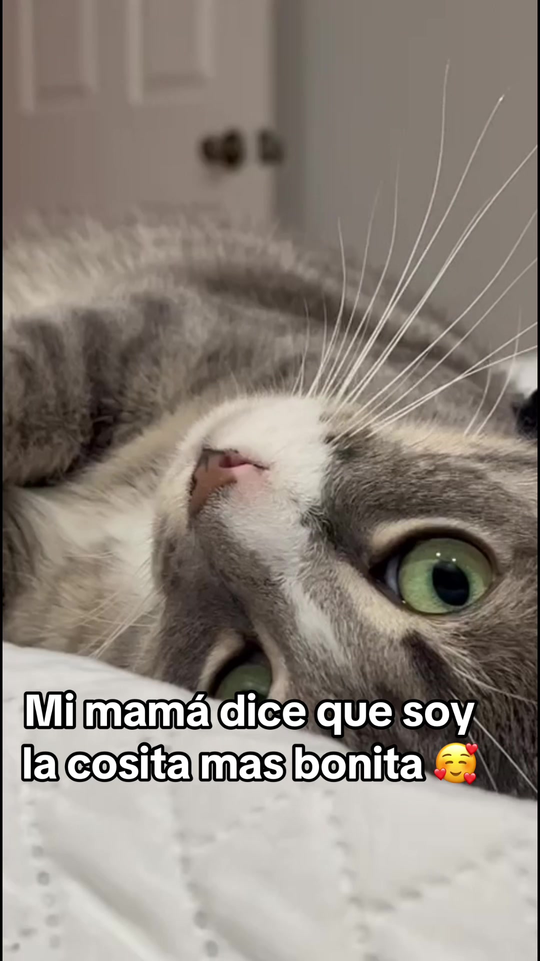 @michimatiass