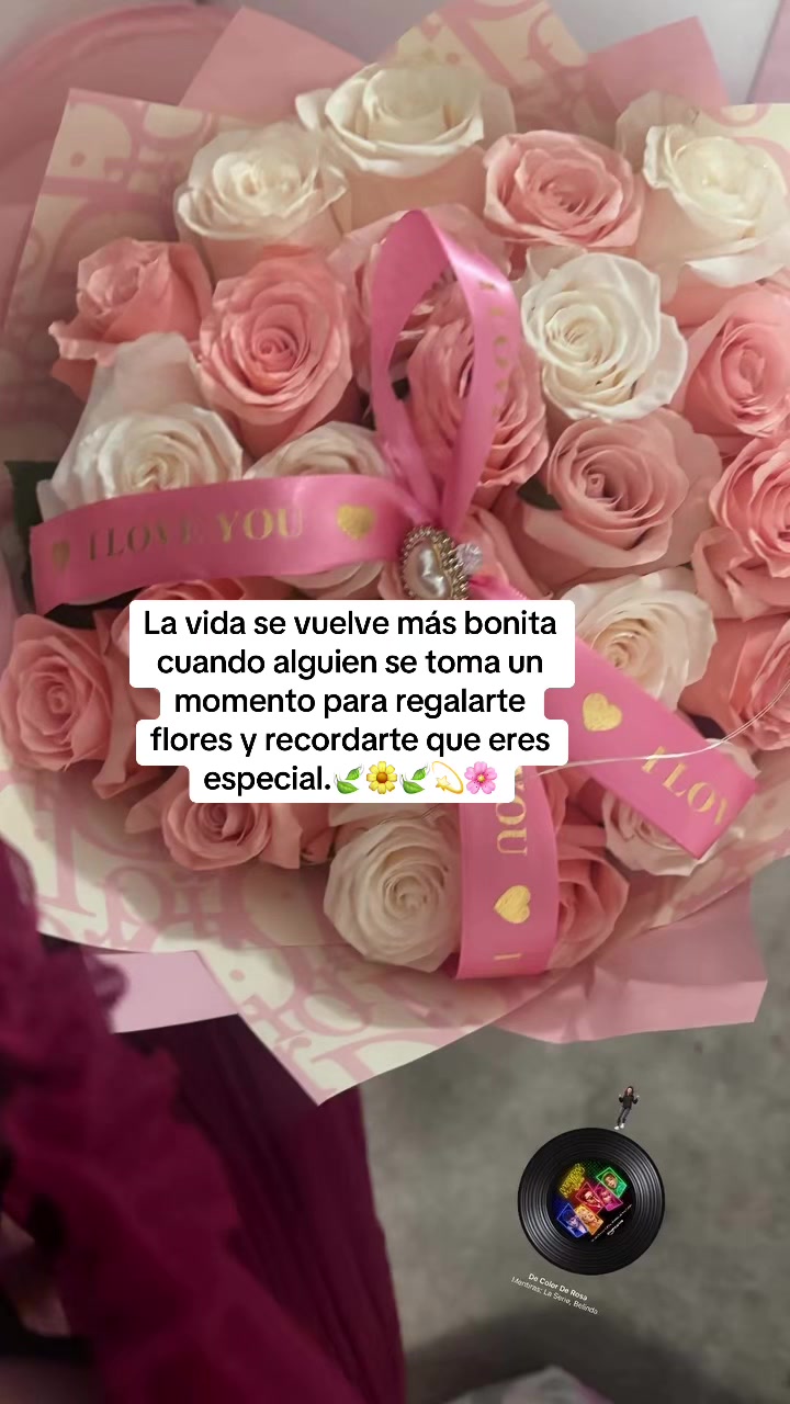 @Barbie Viajera