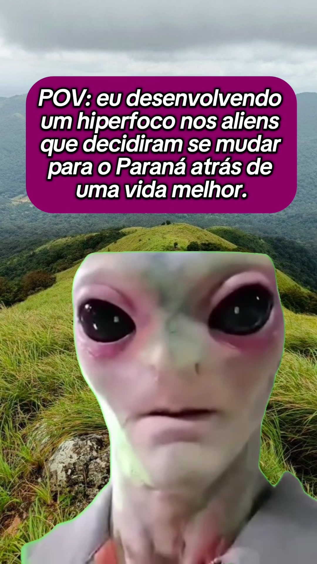 @tababadeira