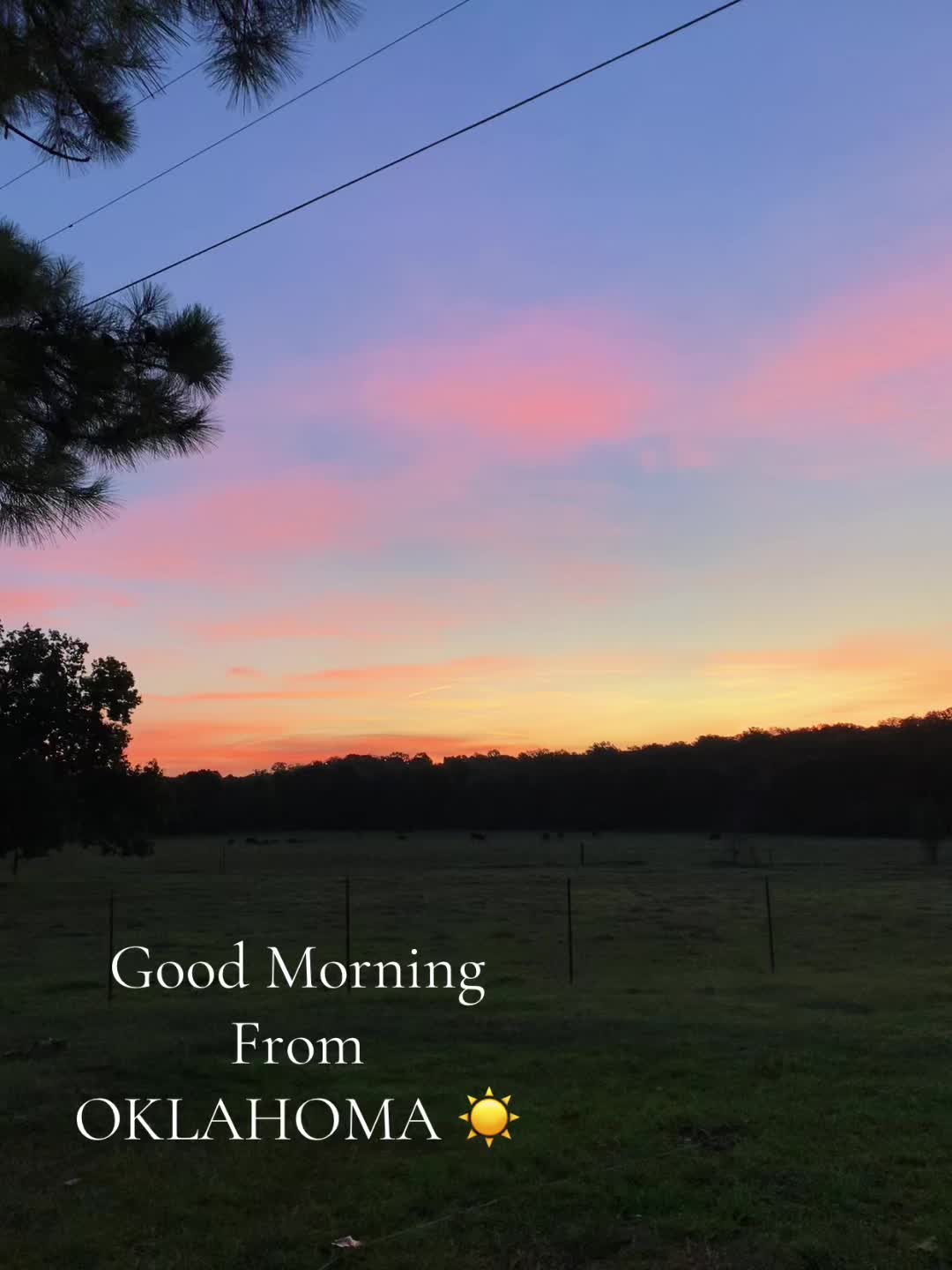 @Oklahomagreeneyes🌼