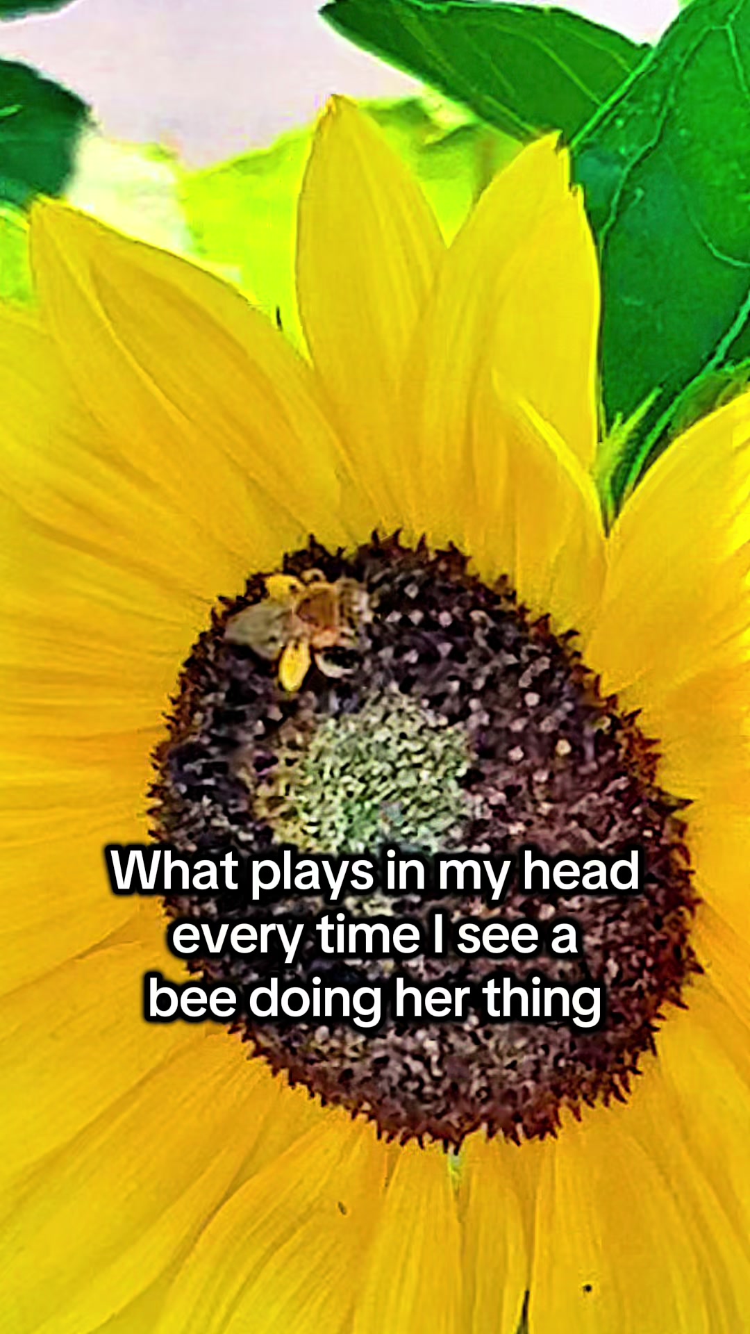 @District Gardening