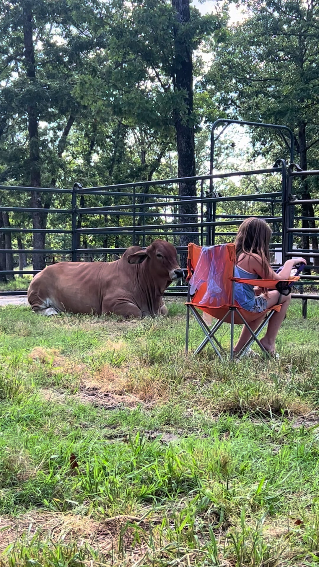 @The V6 Ranch