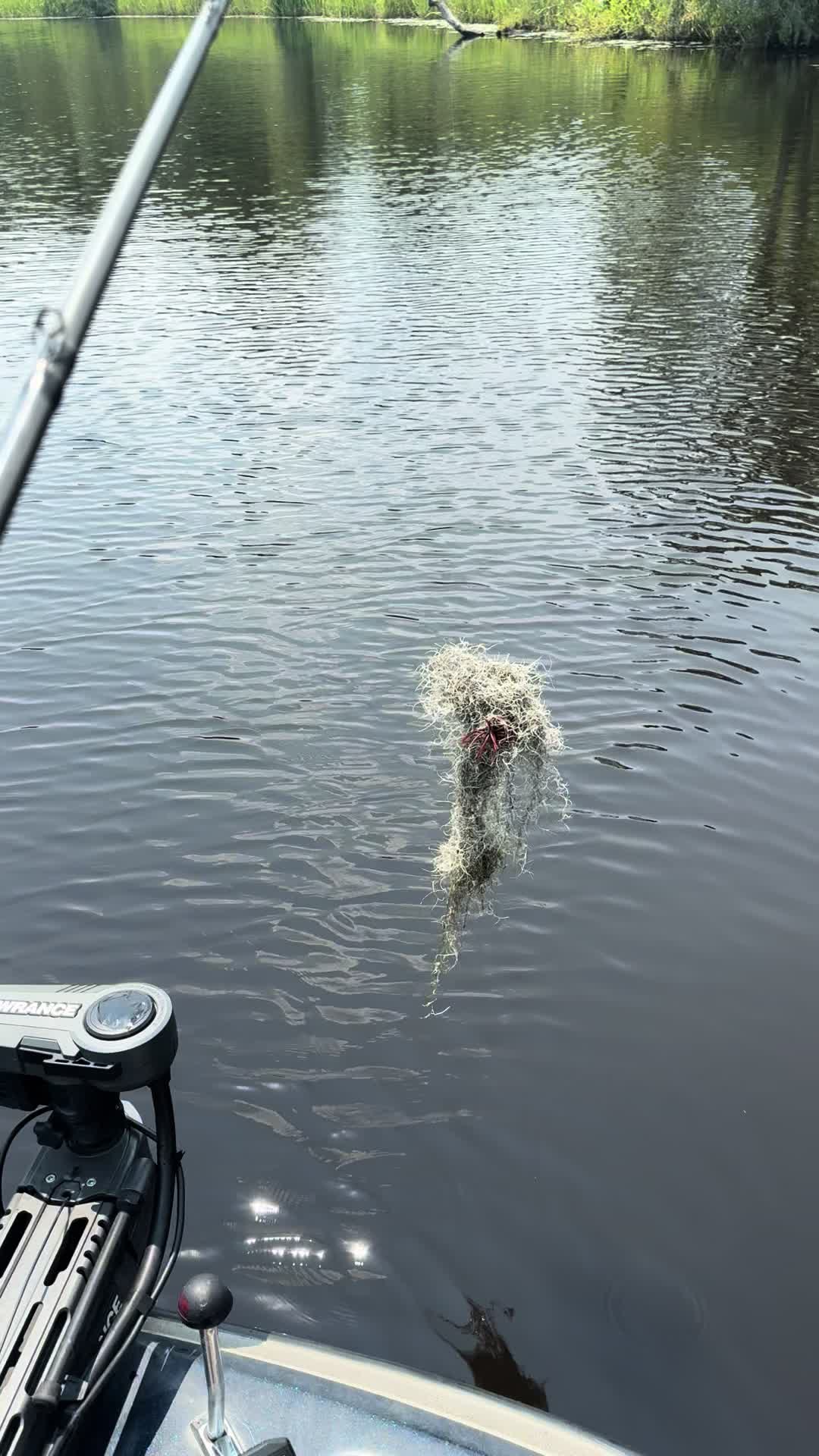 @evan_whitefishing