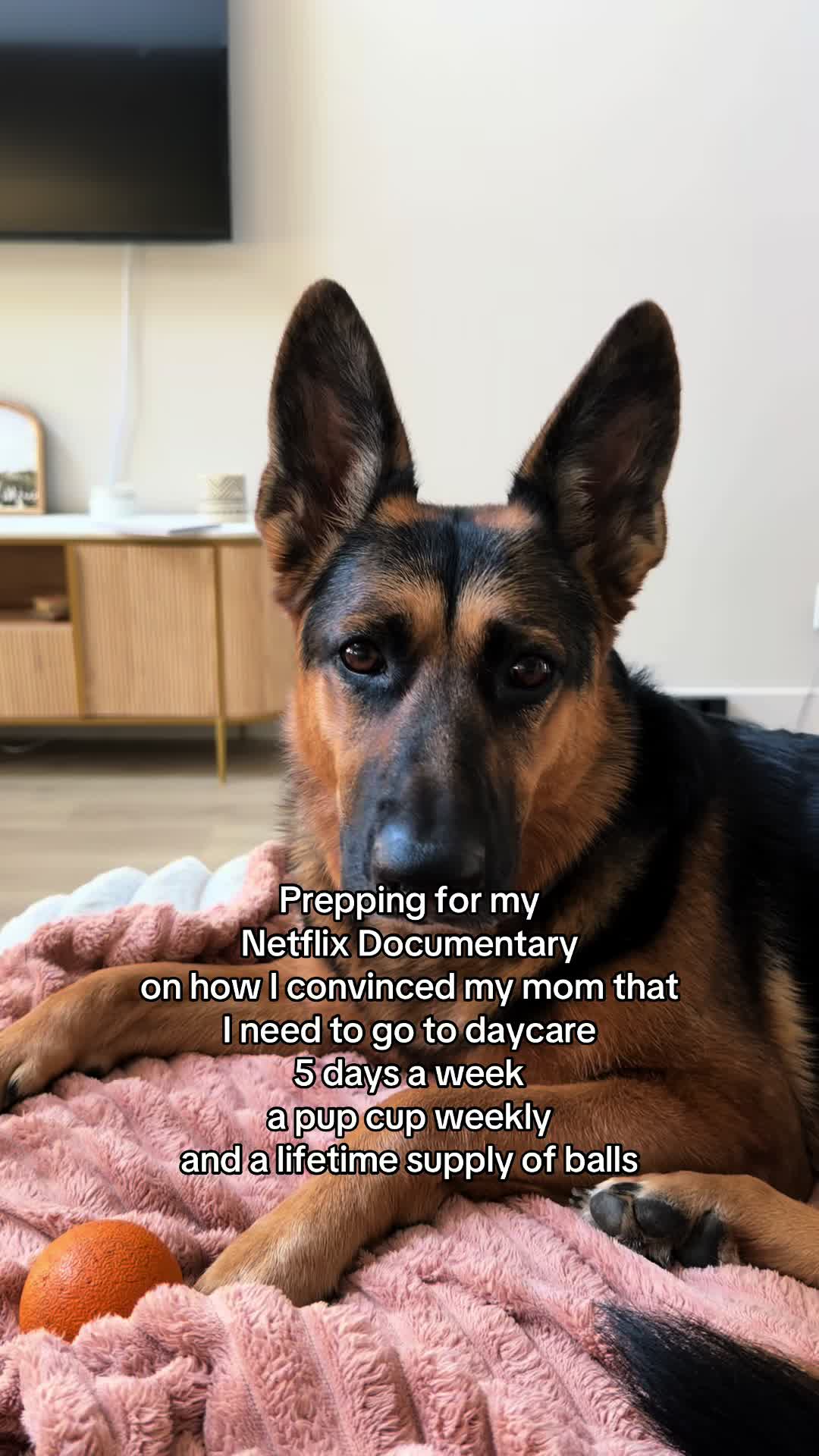 @Rory The Not-Working GSD