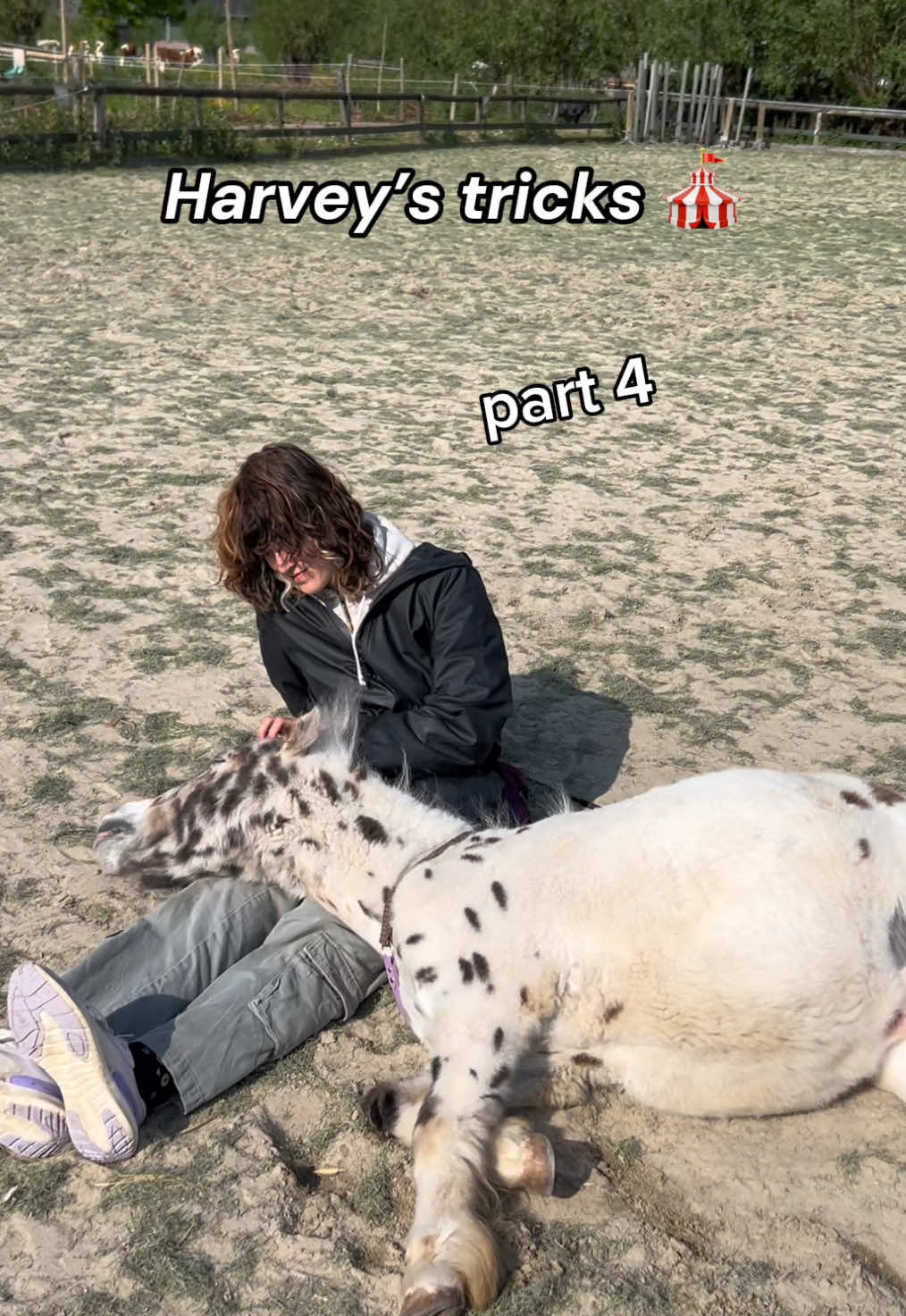 @Ciara & Harvey ๐