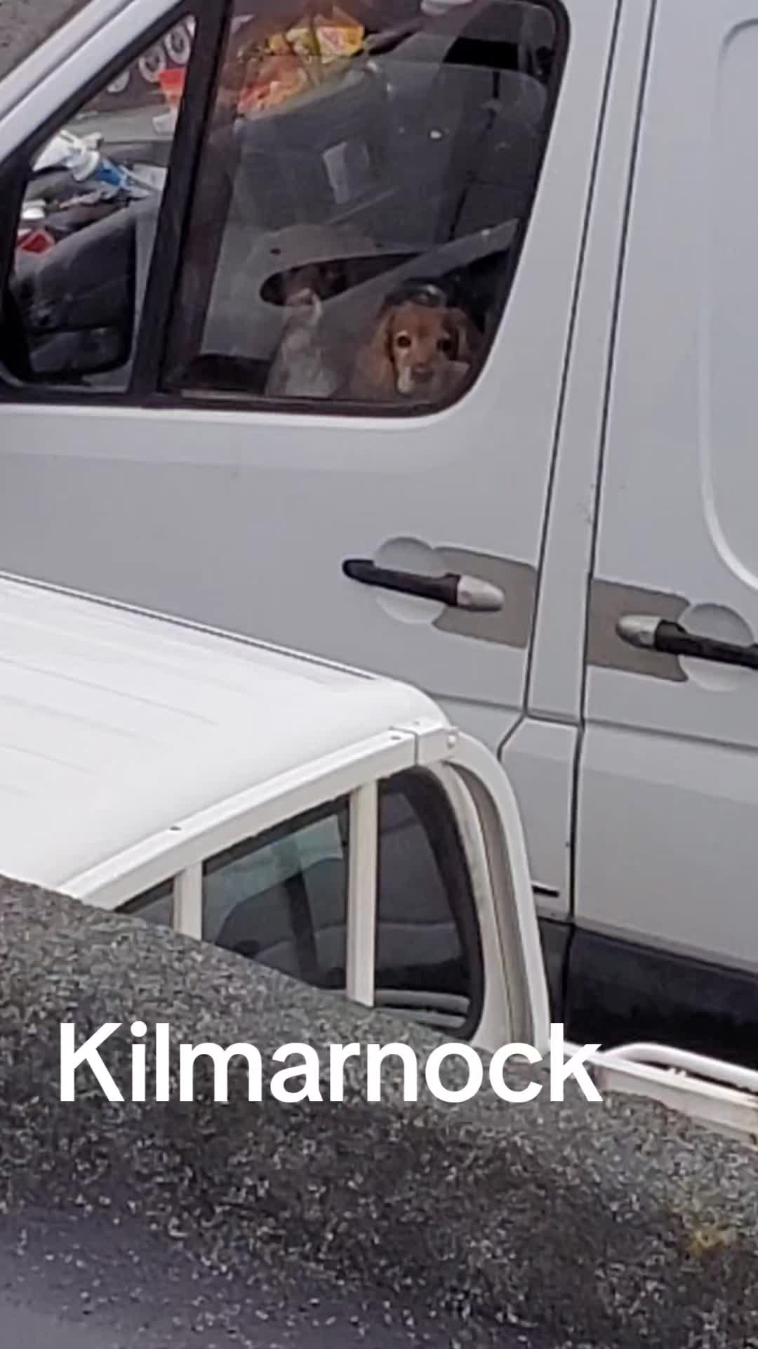 @windowman7