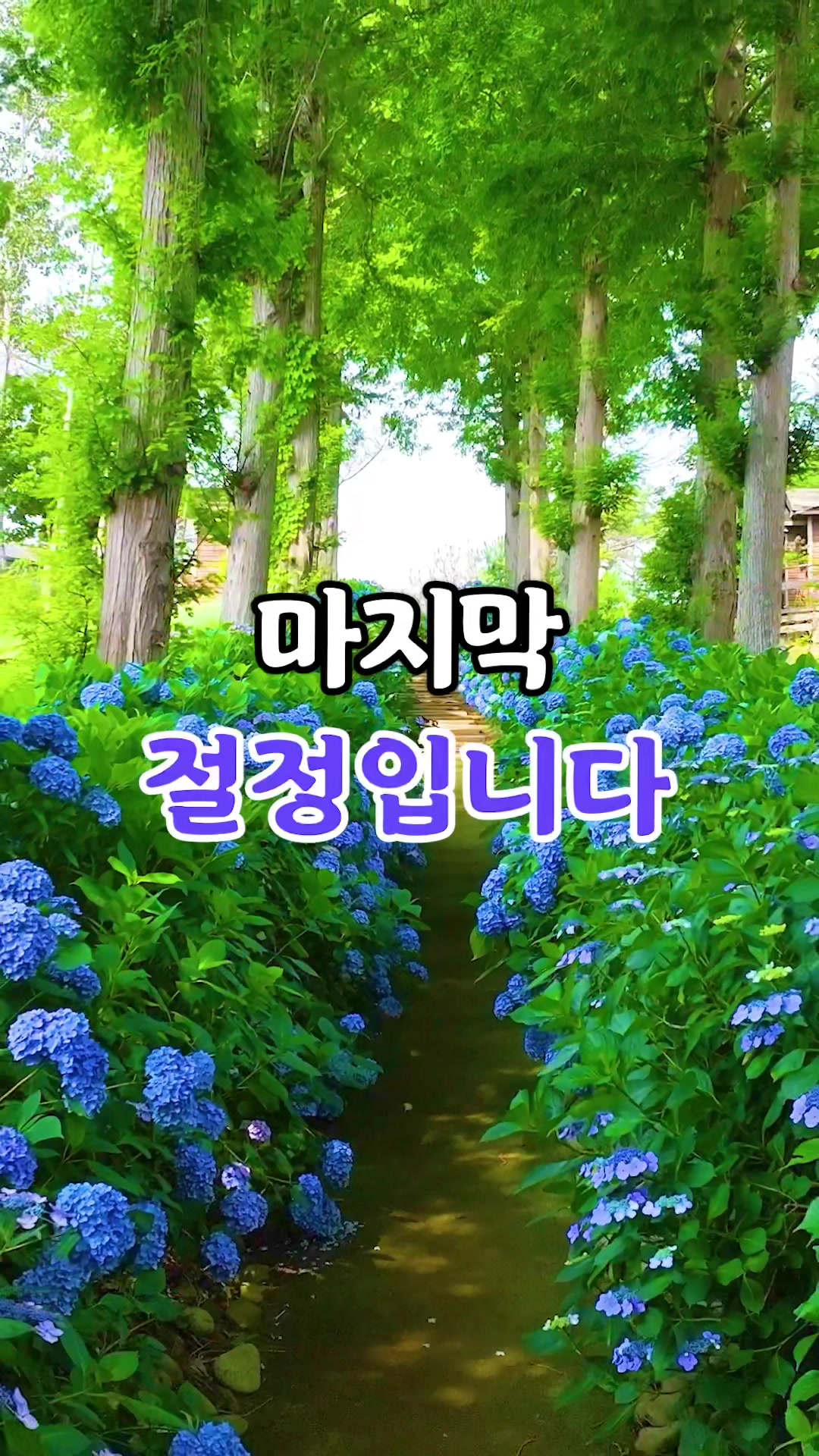 @Ddoo_pd