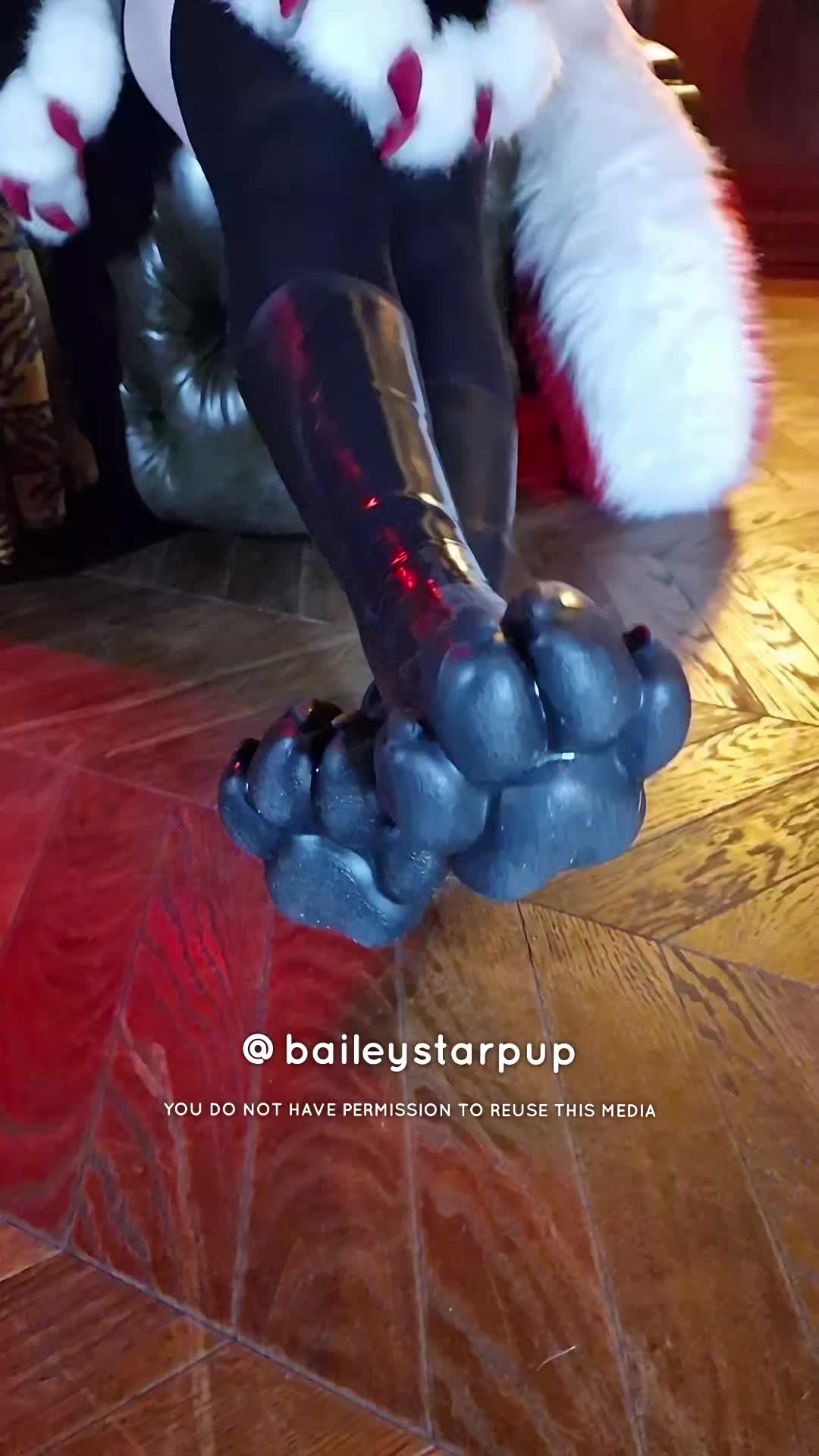 @Bailey (lilpixiekitten)