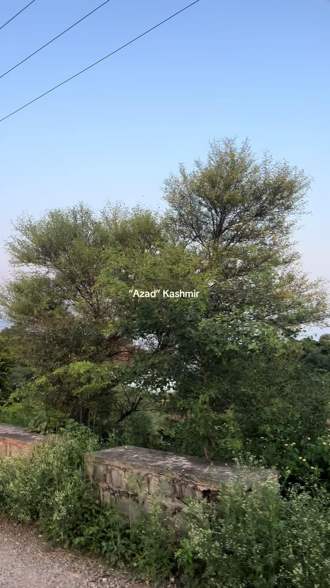 @A.I 🤍