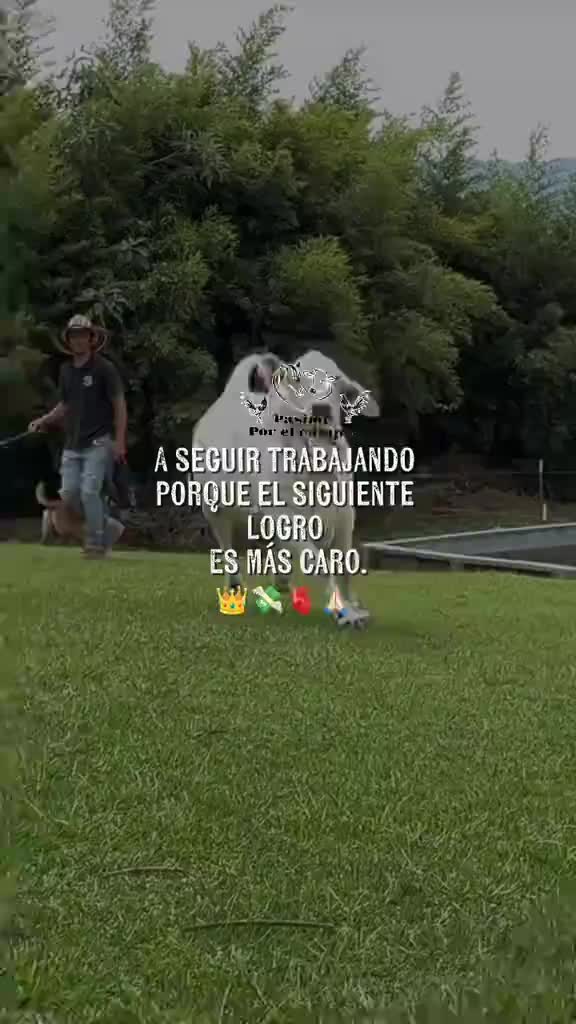 @⚡️Ruanger_motivacion⚡️