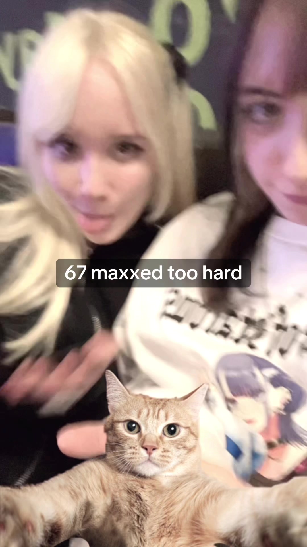 @eli ꪔ̤̮