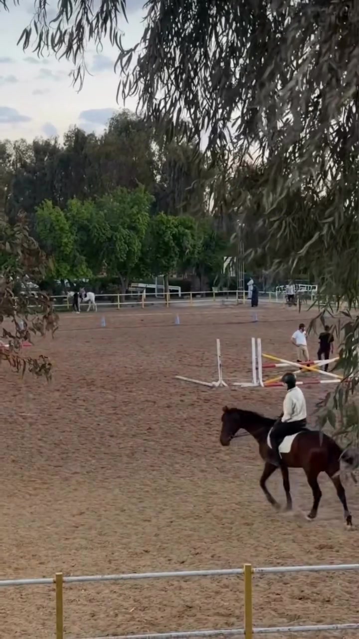 @المهره🦌