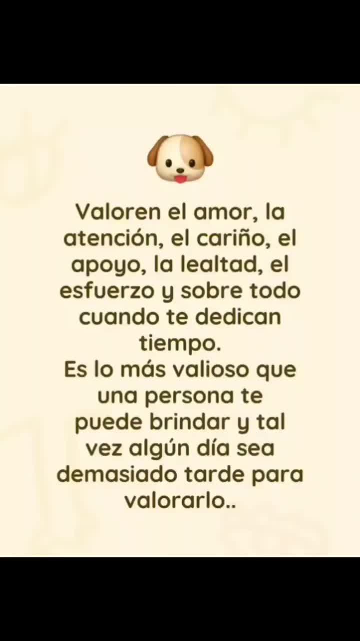 @el panda solitario