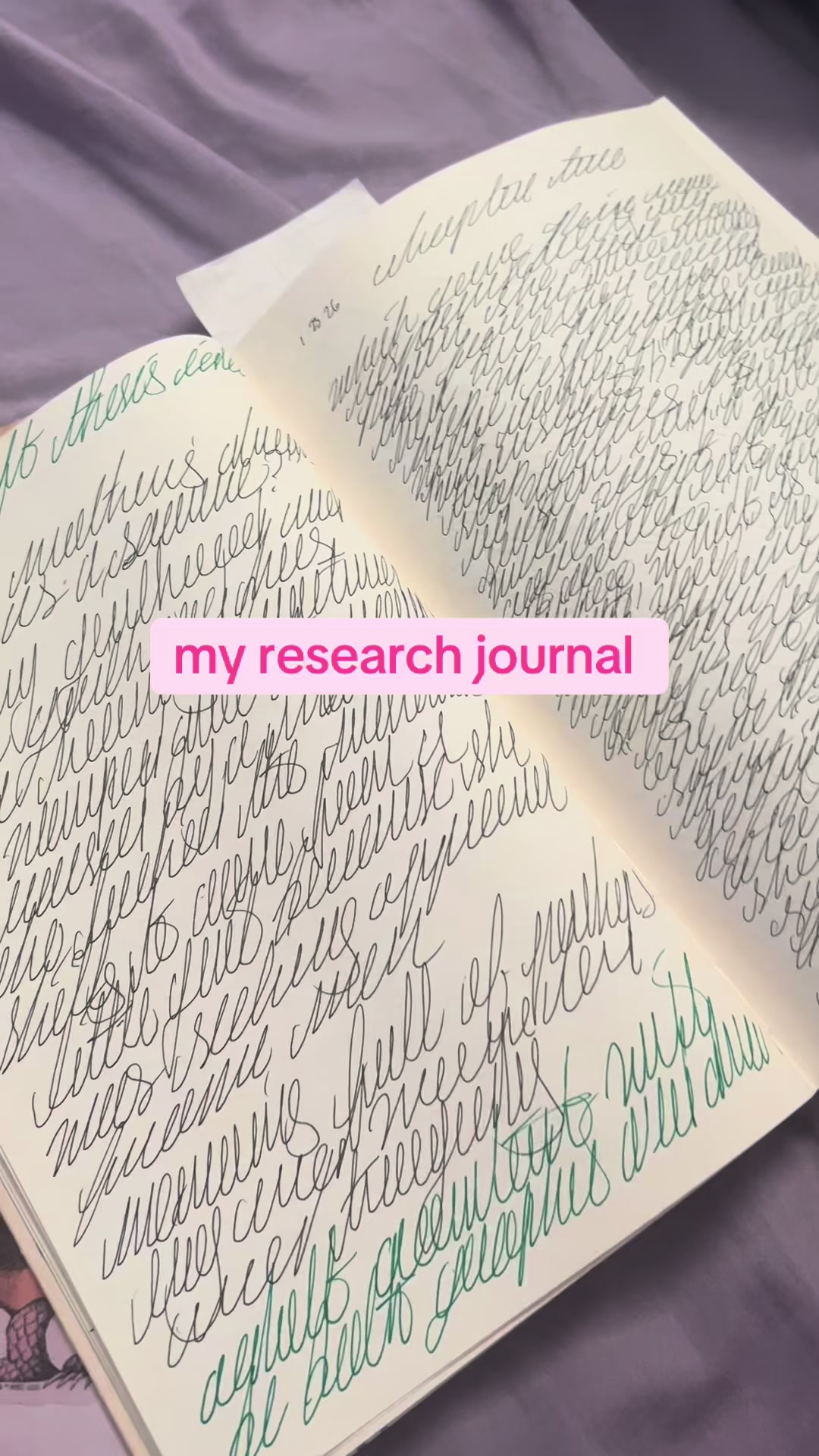 @Dylan | Writer | CC 📚🦋