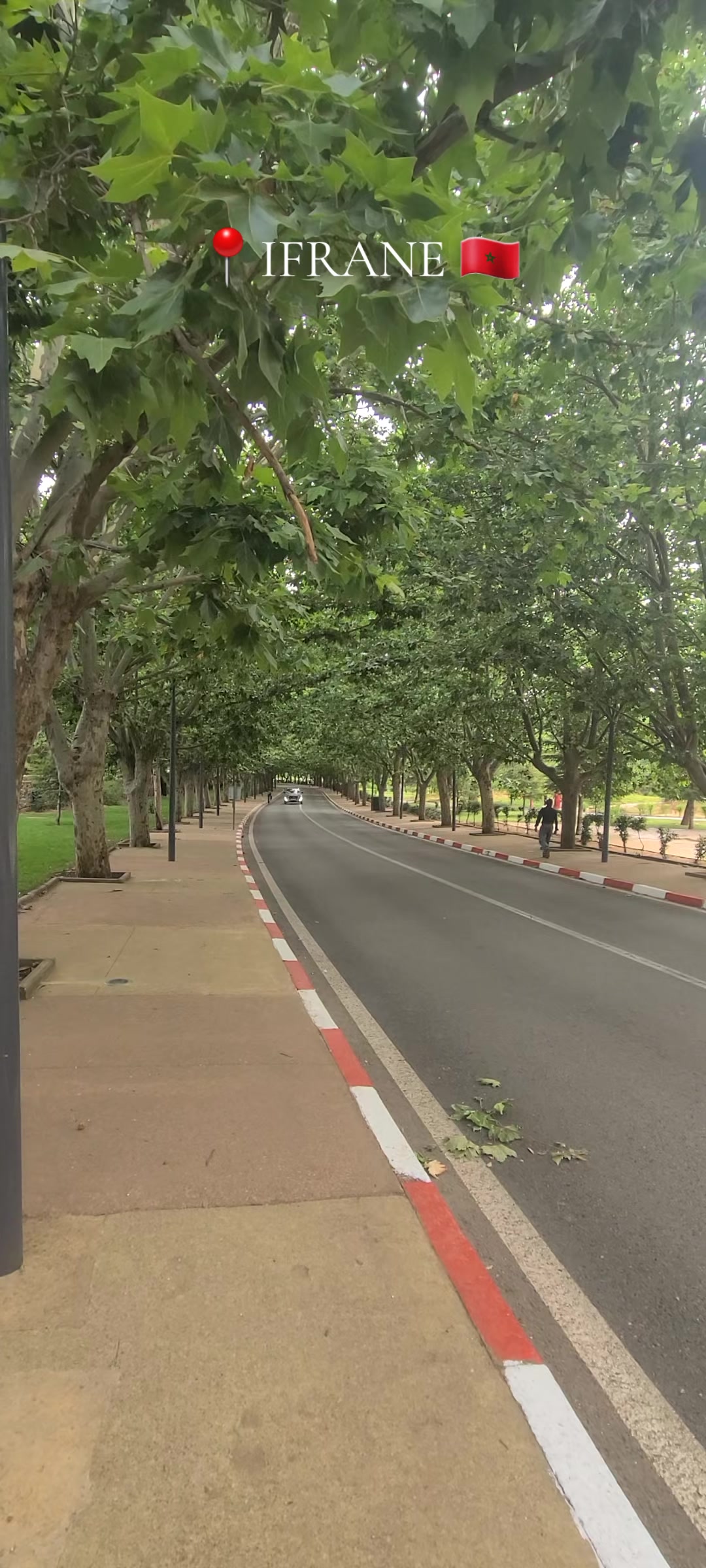 @ifrane city