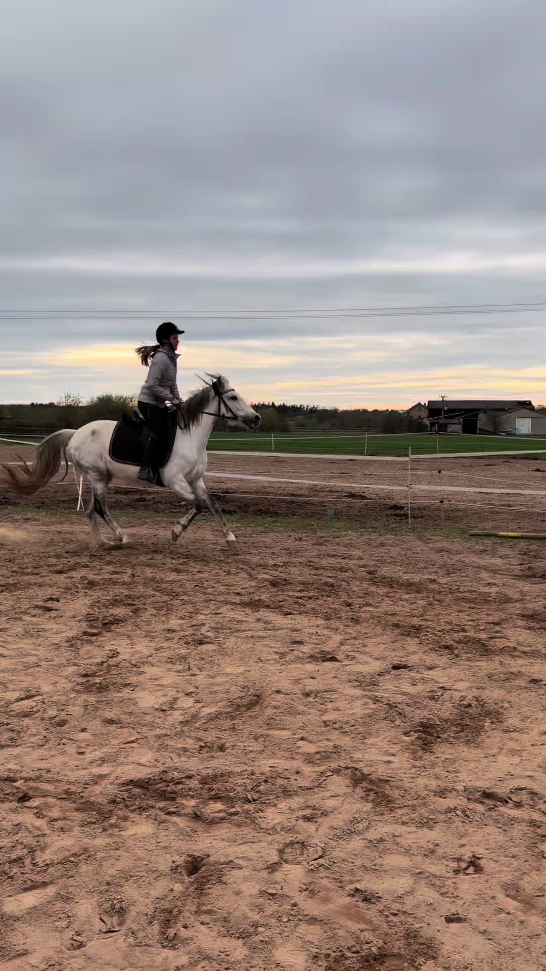 @leann.equest