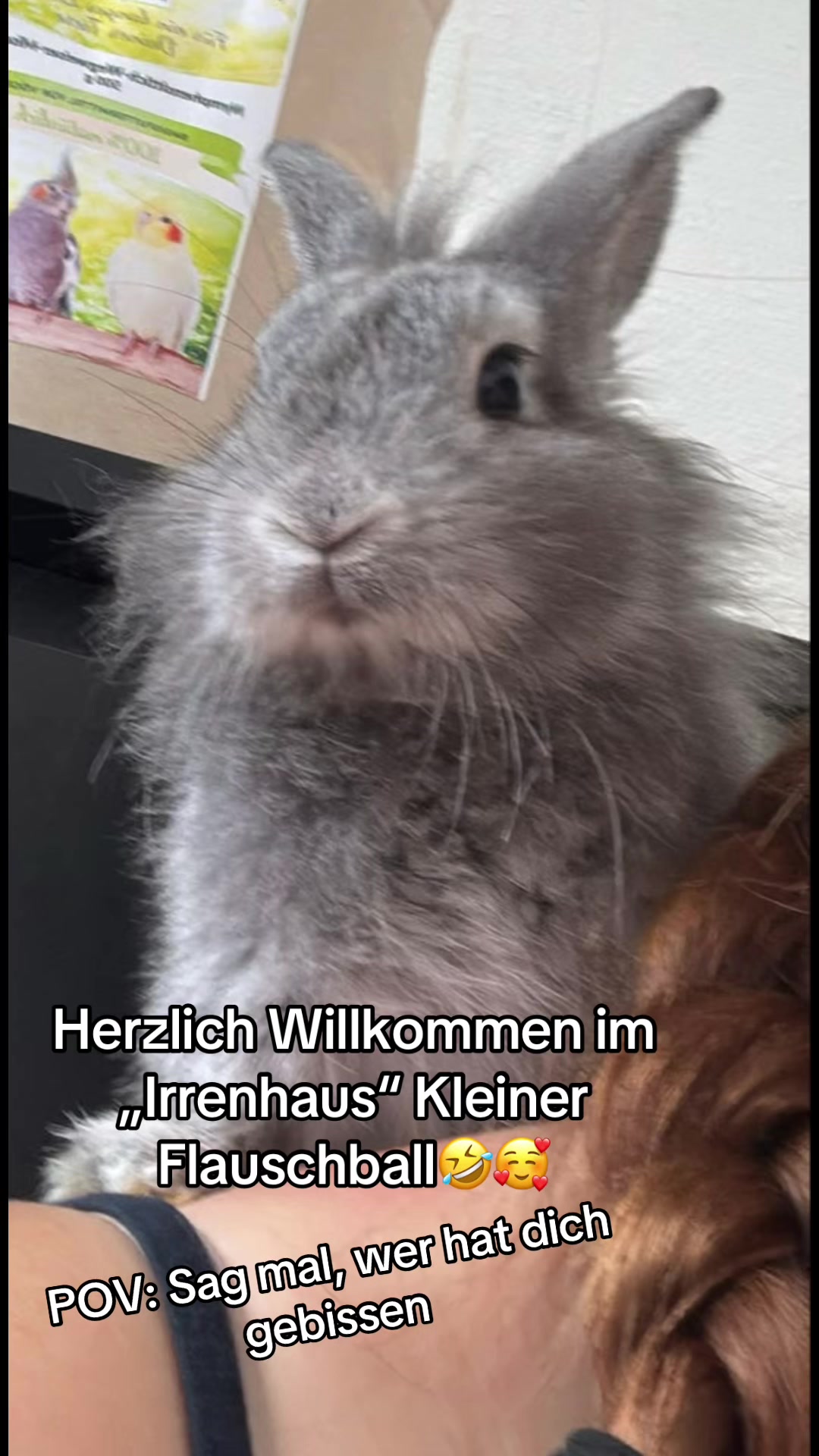 @Crazy_life_vibes