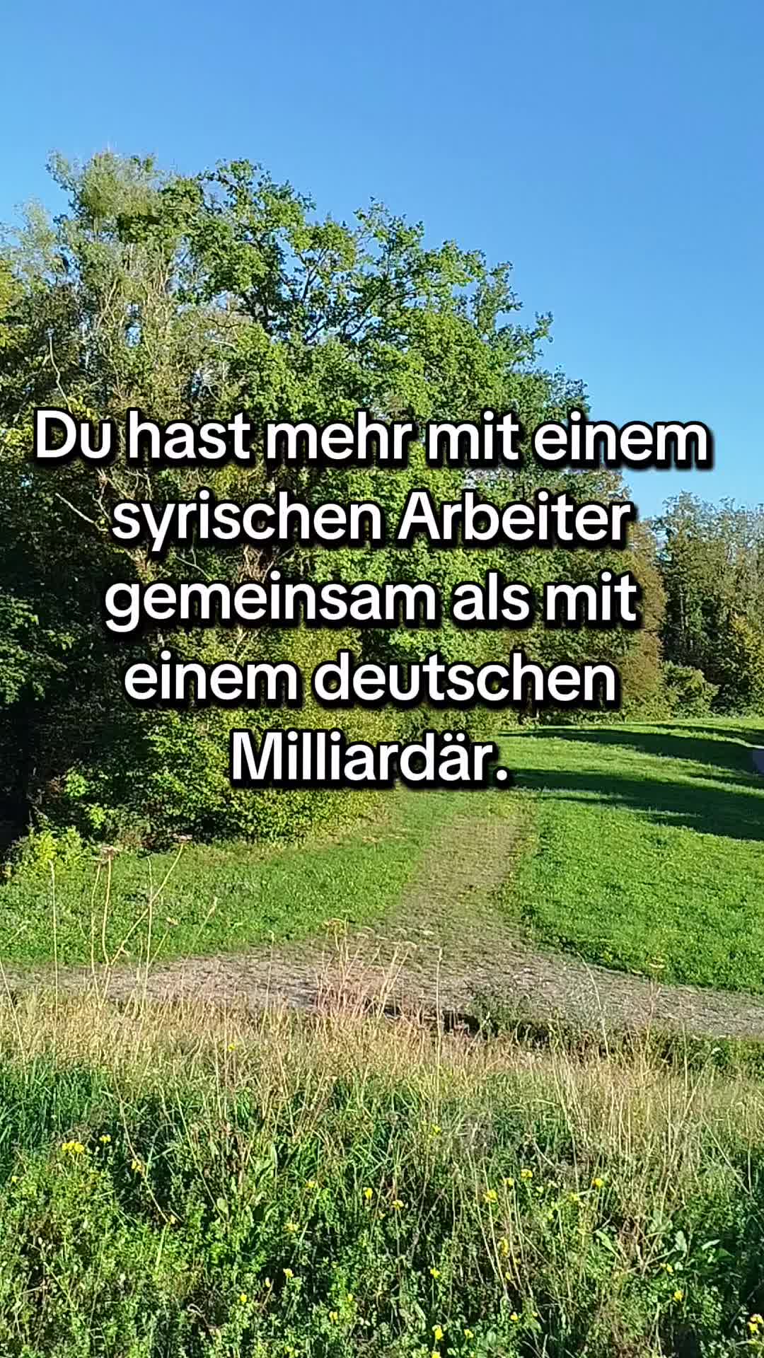 @Die Linke Lindau