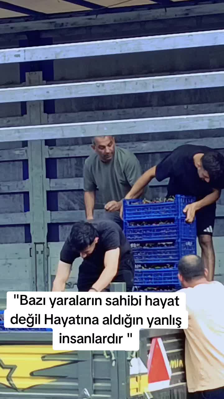 @Habib