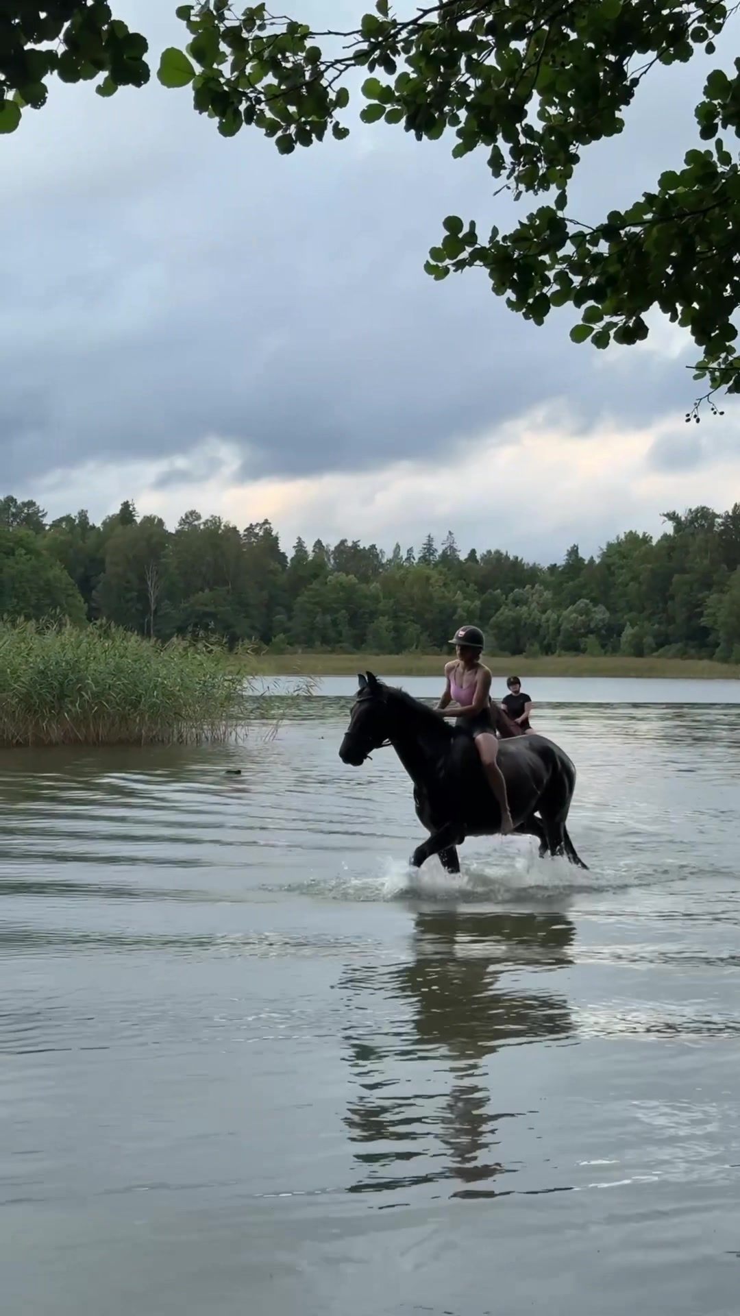 @Minja Hindstr&ouml;m